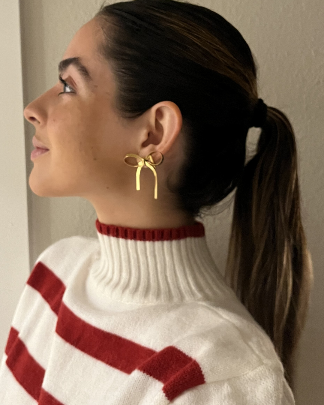Aretes - Lazo