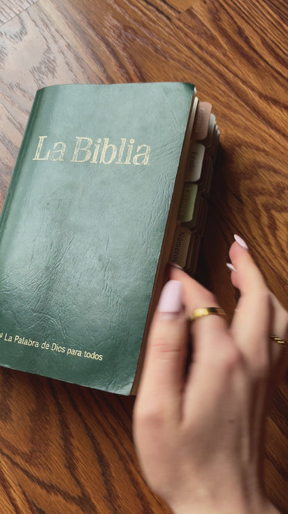 Separadores de Biblia